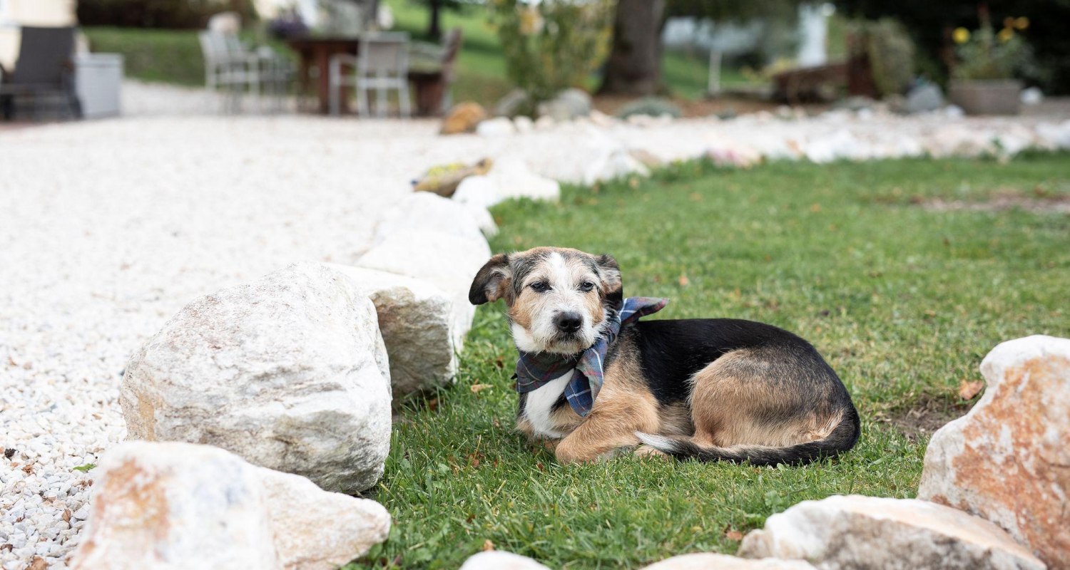 YL-Day_Aromareich_010