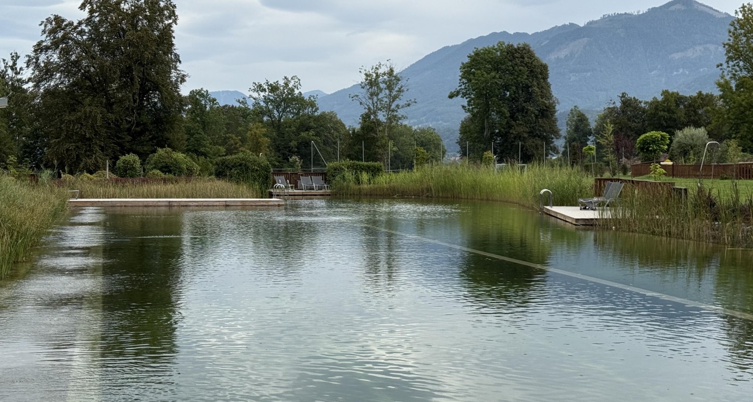 Schwimmteich Schwimmteich