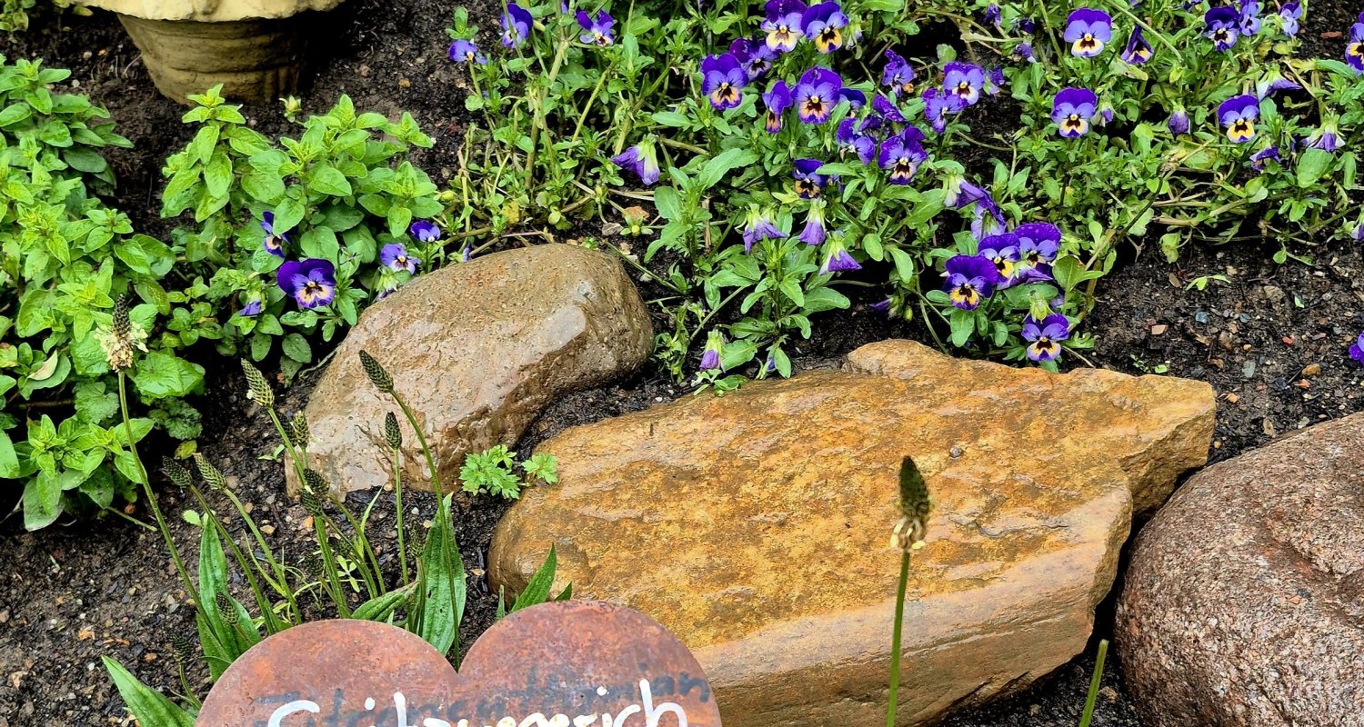 Gspiargartl- Kräuter und Dekoration für die Küche Gspiargartl- Kräuter und Dekoration für die Küche