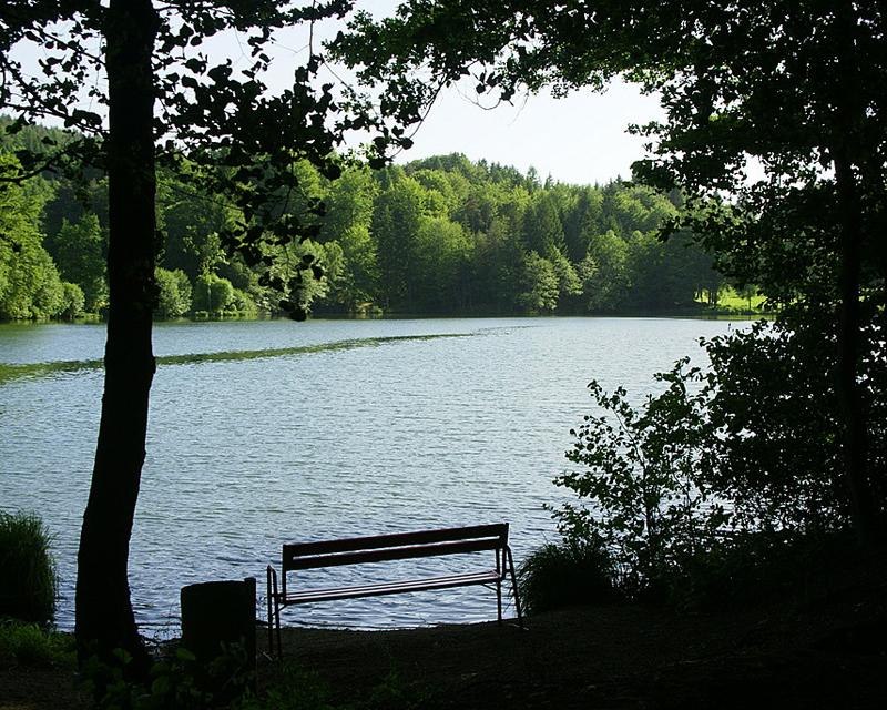 Landgasthof Trattnig - Blick Teich