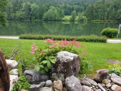 Landgasthof Trattnig, &copy; bookingcom
