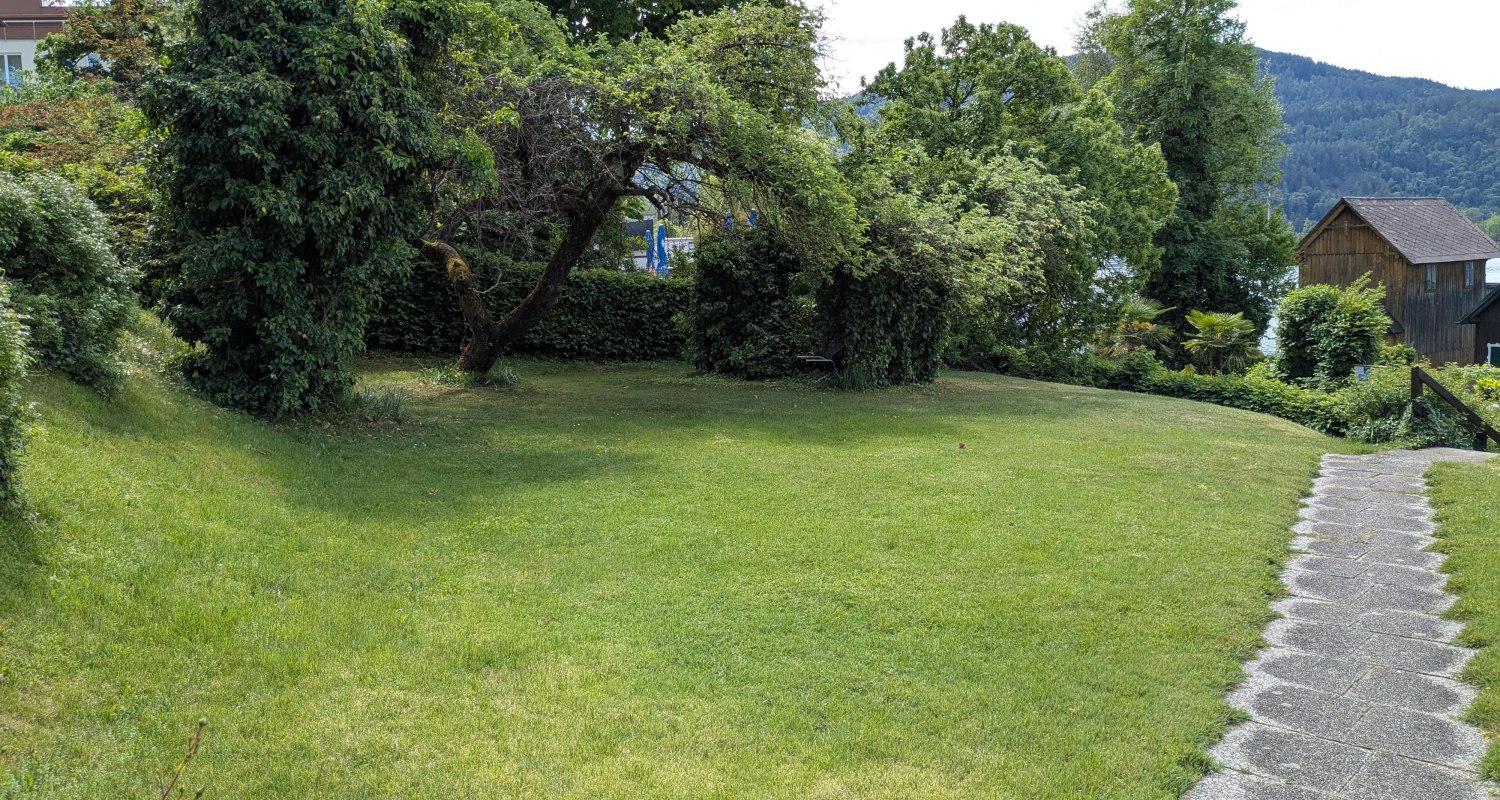 PXL_20260511_091846060