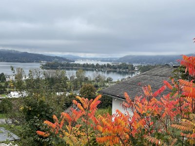Appartement Eveline - W&ouml;rthersee, &copy; Appartement Eveline
