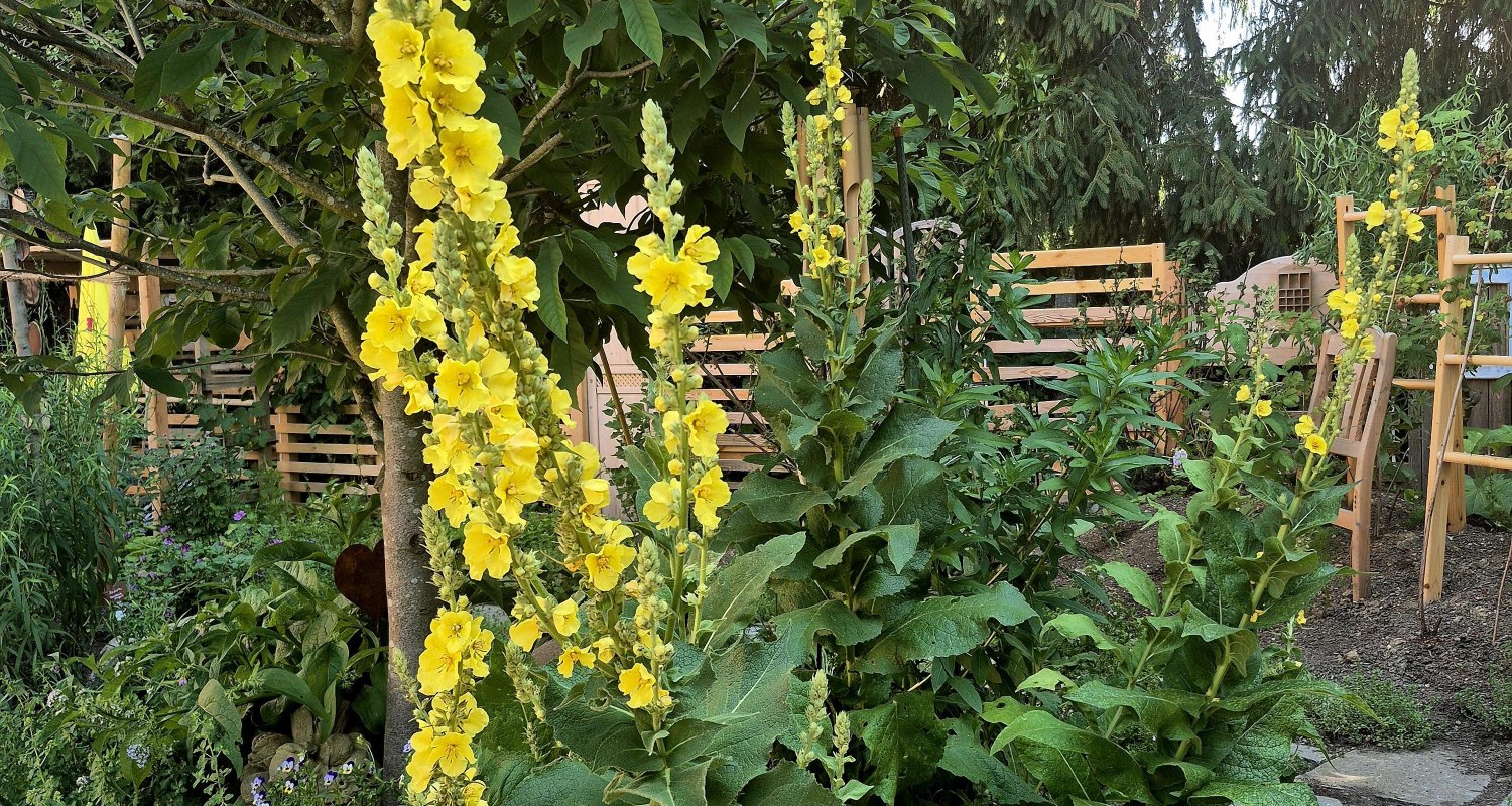 Gspiargartl Gspiargartl