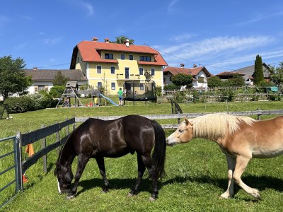 Rutarhof