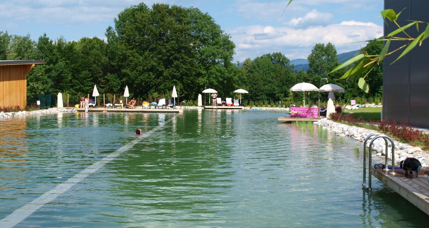 Schwimmteich im Feriendorf Schwimmteich im Feriendorf