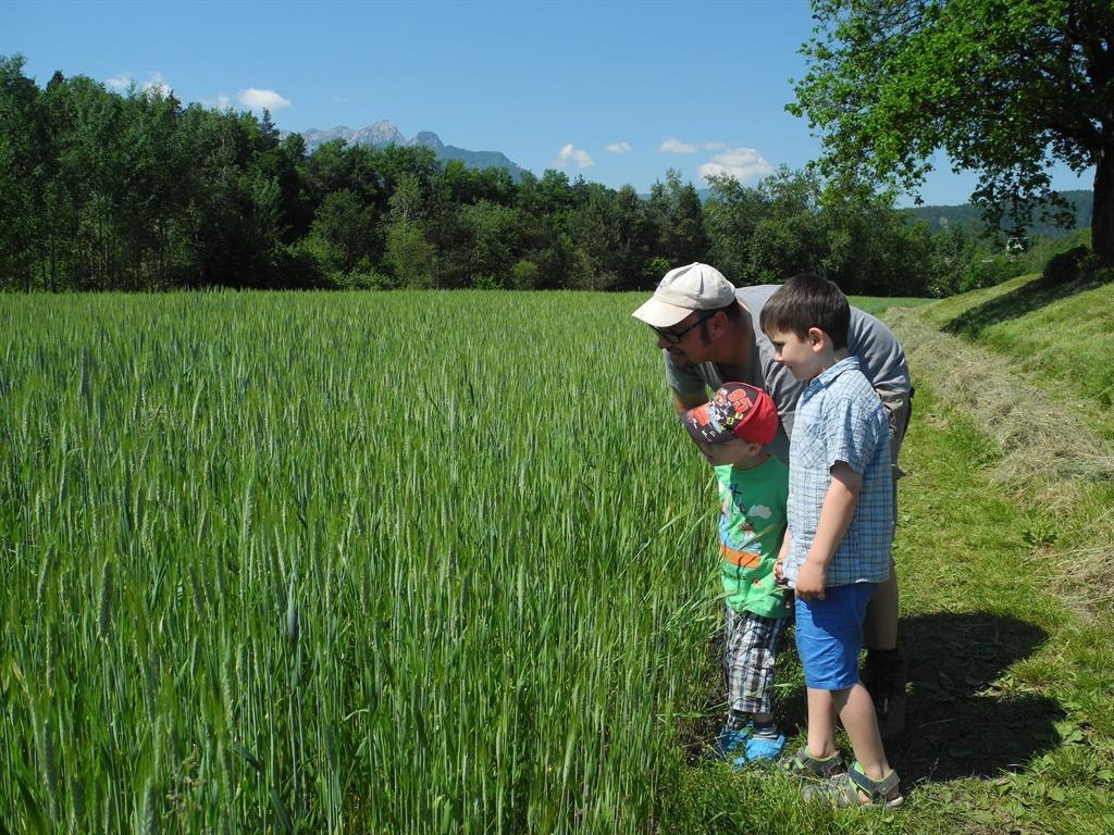 Biobauernhof Sima - beim Leben_Erkundungen am Feld, © Brigitte Sima